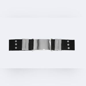Color Guard Web Belt Silver & Black